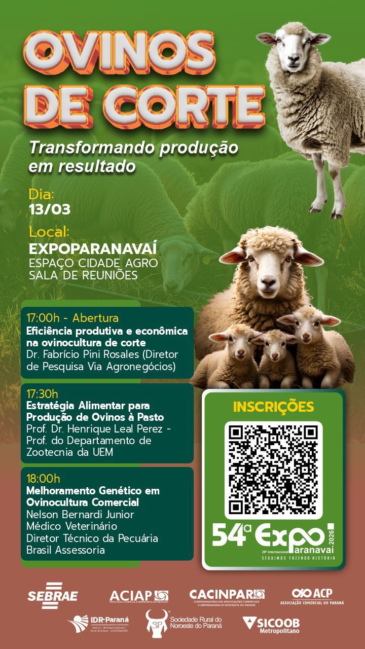 Palestra - Conteúdo 4